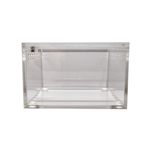 Acrylic Basic Dubia Enclosures photo